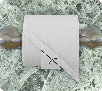 toilet paper origami